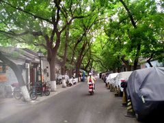 -北京国子监胡同