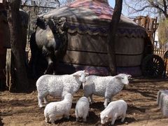 -大汗行宫园林餐厅