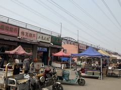 -中环花鸟鱼虫市场