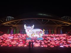 -沈阳奥体冰雪嘉年华
