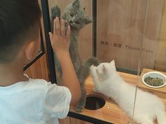 -袖虎·猫馆(体育西路店)