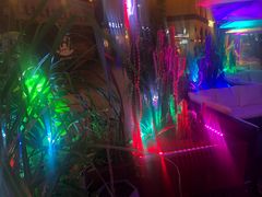 -贰麻酒馆(1912店)