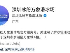 -冰纷万象滑冰场(深圳万象城店)