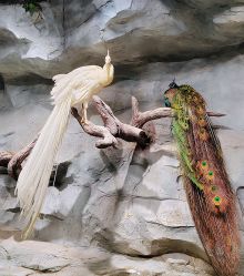 -Zoolung Zoolung动物主题公园(海信广场店)