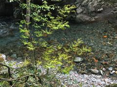 -西岭雪山大飞水景区