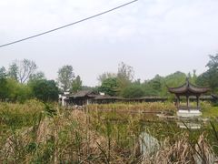 -日出青木·杭帮菜名店