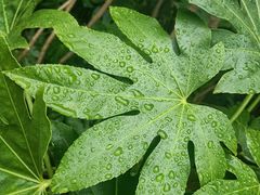 -南京市江宁方山