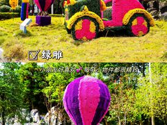 -九龙江国家森林公园