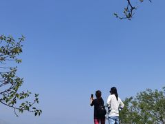 -阳台山自然风景区