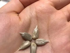 -海底捞火锅(玉桥商业广场店)
