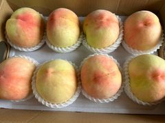 -南汇新场正宗水蜜桃采摘