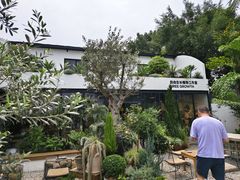 -自由生长植物工作室(深港花卉中心店)