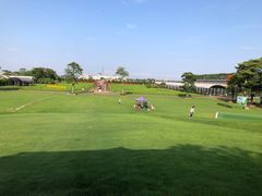 -迪茵湖田家舍生态农场