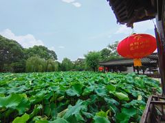 -丝绸小镇荻港古村