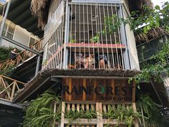 -Rainforest