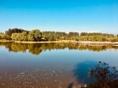 -东郊湿地公园