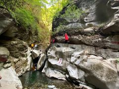 -黑河国家森林公园