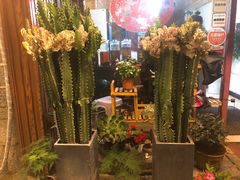 -阿鹏故事云南野生菌火锅(人民路店)