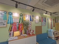 -猫十亿·布偶金渐层·曼基康矮脚猫舍(青年路店)