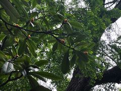 -南通濠河风景名胜区