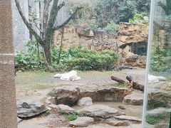 -广州长隆野生动物世界