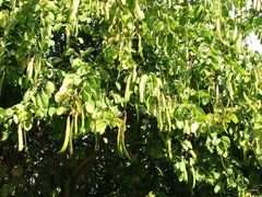 -黔蘑菇四季餐厅(观山湖店)