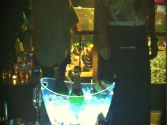 Champagne -HOLLYWOOD