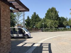 -大兴滨河森林公园