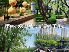 -前关湿地公园