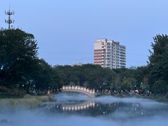 -万泉公园