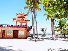 -东郊椰林