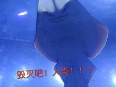 -成都浩海立方海洋公园