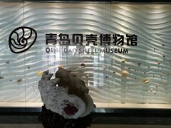 -青岛贝壳博物馆