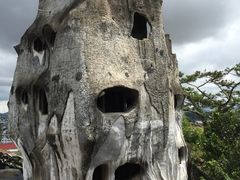 -疯狂屋