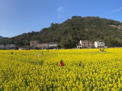 -泽雅景区