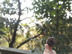 -月亮湾风景点