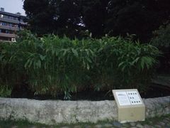 -成都市活水公园