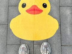 -深圳人才公园