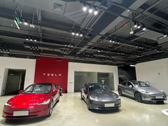 -TESLA 特斯拉(深圳观澜特斯拉直营钣喷中心)