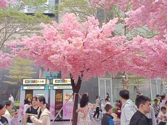 -东莞松山湖万象汇