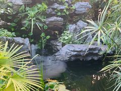 -聚缘·湘味音乐餐厅party(罗湖店)