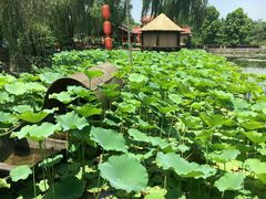 -天赐温泉
