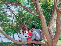 -南京市无想山景区