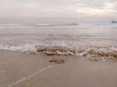 -西涌国际滨海旅游区