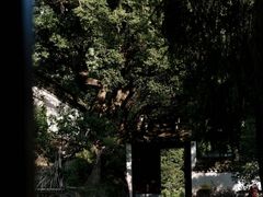 -宁波市保国寺古建筑博物馆