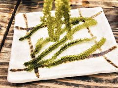 海葡萄-鰓呼吸(那覇久茂地店)