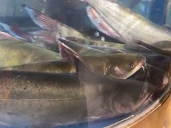 -蜀滋香鲜鱼美蛙火锅(339店)