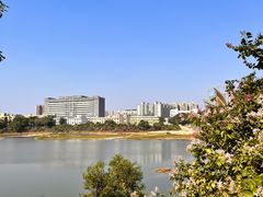 -立新湖公园