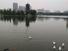 -迎泽公园