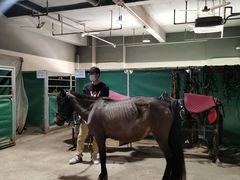 -李振强马术运动推广中心(南城店)